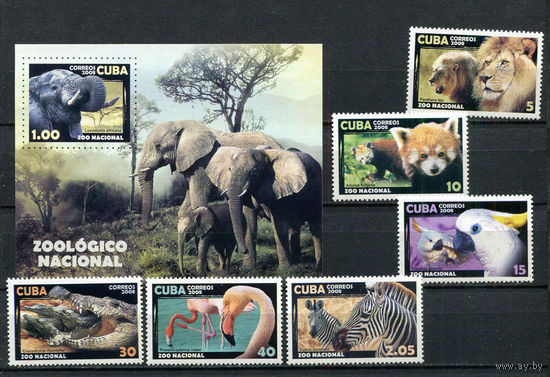 Куба - 2008 - Фауна - [Mi. 5100-5105 bl.244] - полная серия - 6 марок и 1 блок. MNH.  (LOT GQ46)-T3P34