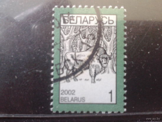 2002 Стандарт, зубр