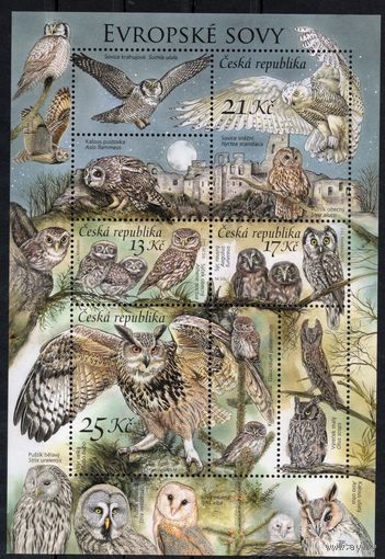 Чехия 2015. Фауна птицы совы