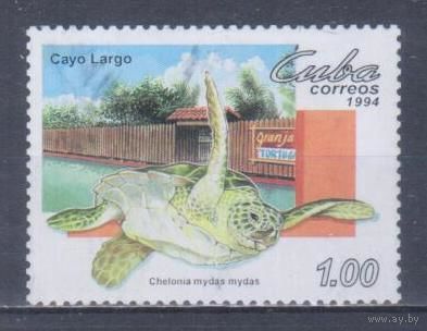 [577] Куба 1994. Фауна.Черепаха. Концовка серии.Гашеная марка.