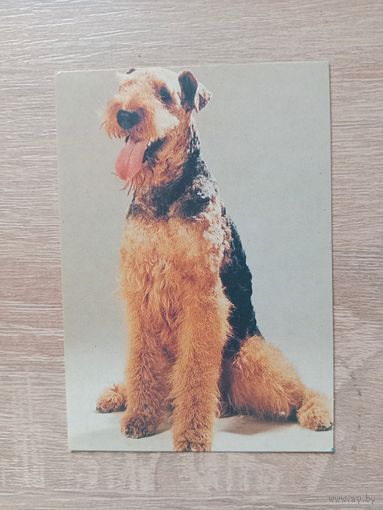 Календарик 1992-1993