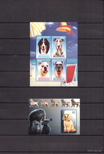 Микронезия 2003 Фауна домашние собаки - 1 лист + 1 блок MNH**