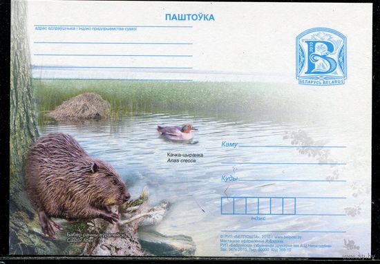 Беларусь 2010. ПК. Бобер