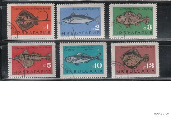 Болгария-1965, (Мих.1542-1547),    гаш. , Фауна, Рыбы, (полная серия)