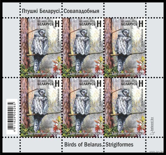 2023 БЕЛАРУСЬ Малый лист "Птицы Беларуси. Совообразные"  MNH