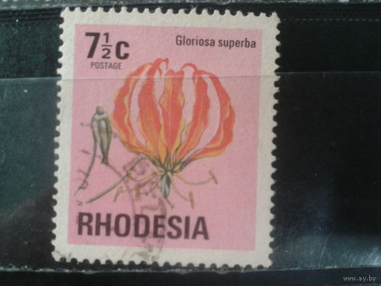Родезия, 1974. Глориоза суперба