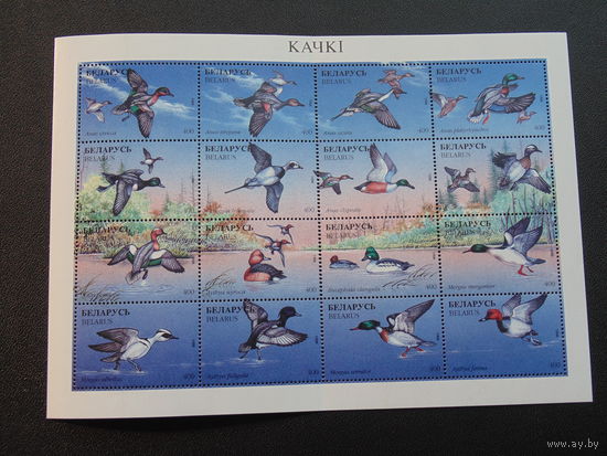 Беларусь 1996 год. Утки.