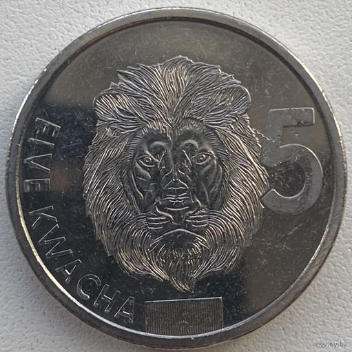 Замбия 5 квач 2024 г. Лев