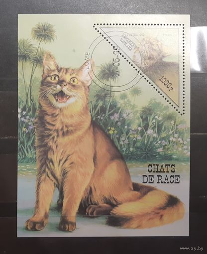 Того. 1999 год. Фауна. Кошки. Блок (750)