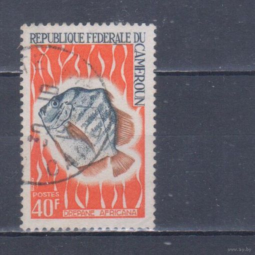 [6] Камерун 1968. Фауна.Рыба.40 ф. Гашеная марка.