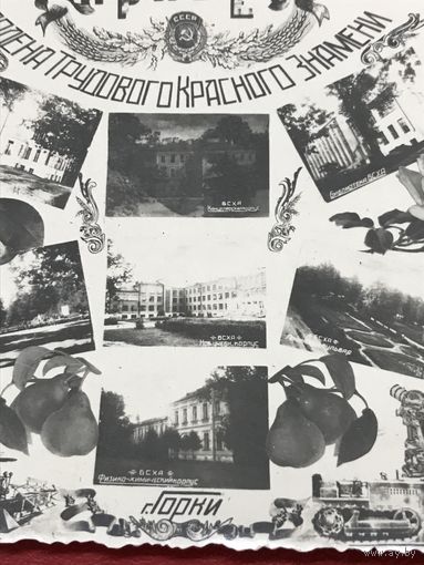 Фото-открытка .г.Горки.