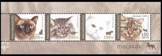 2005 Венгрия 5006-5009 Фауна. Кошки ** БЛОК