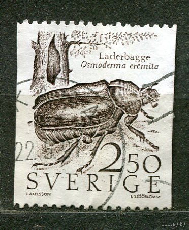 Насекомые. Жук. Швеция. 1987