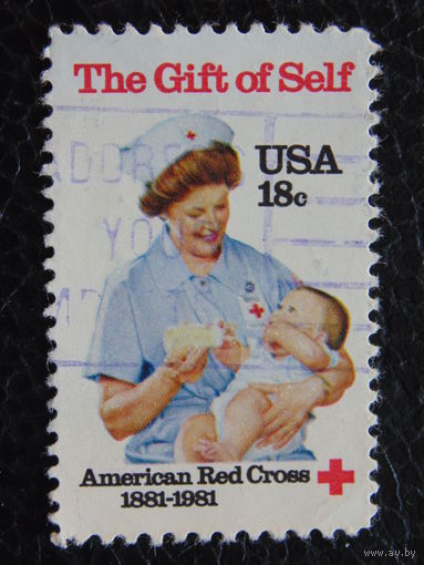 США 1981 г.