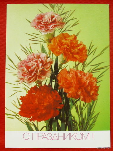 С Праздником! Подписанная. 1991 года. Дергилёва. # 59.