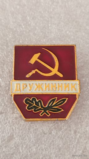 Значек знак Дружинник,200 лотов с 1 рубля!!!