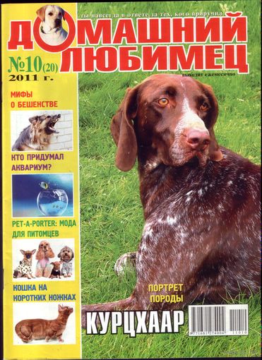 Домашний любимец #20