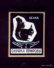 Белка