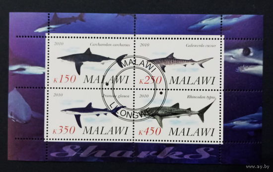 ЛИСТ ФАУНА животные  СТО