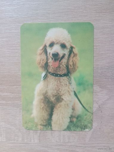 Календарик 1991