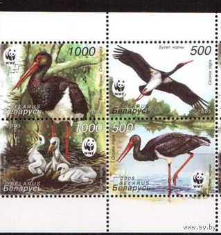 Беларусь-2005,(Мих.597-600) Фауна Птицы(WWF)