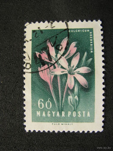 Венгрия 1958 Цветы