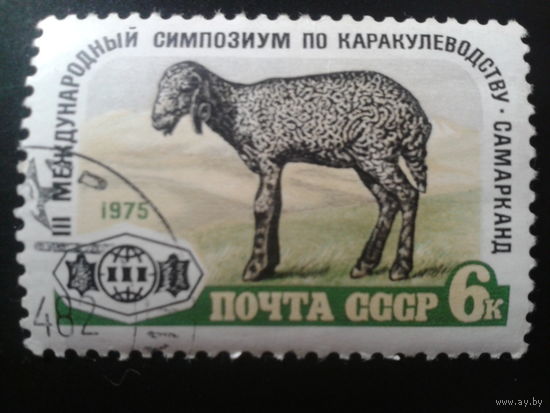 СССР 1975 овца