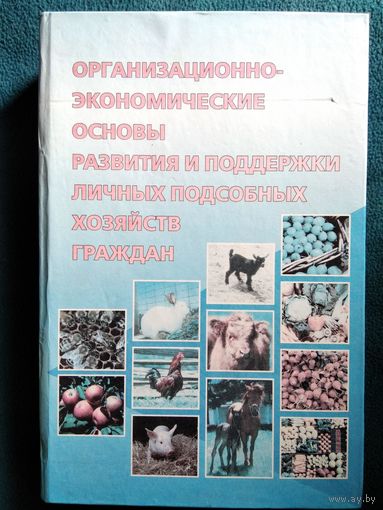 Организационно-экономические основы развития и поддержки личных подсобных хозяйств граждан
