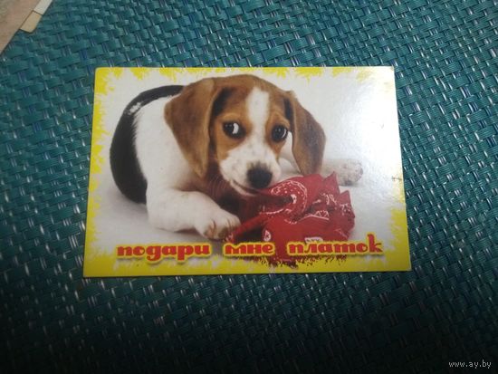 Карманный календарь 2004 год.