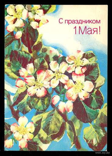 С праздником 1 мая! Худ. М. Морозов. 1988
