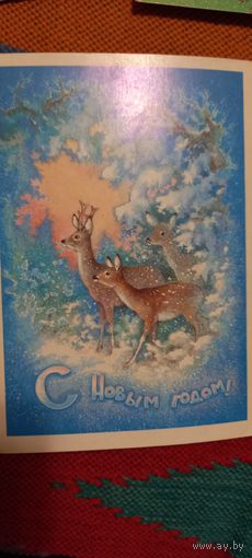 С Новым годом!Исаков