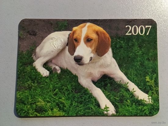 Карманный календарик. Собака. 2007 год