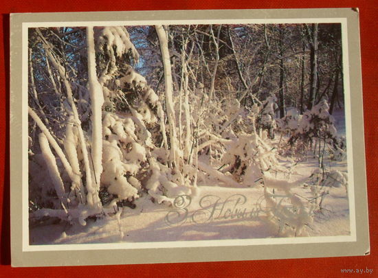 З новым годам! Чистая. 1989 года. Маев. 1126.
