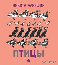 Птицы. Рассказы для детей. Никита Чарушин ///