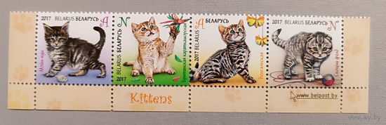 Котята. Беларусь , 2017. Набор из 4-х марок