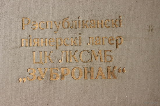 Фотоальбом и знак Республиканский пионерский лагерь ЦК ЛКСМБ Зубронак