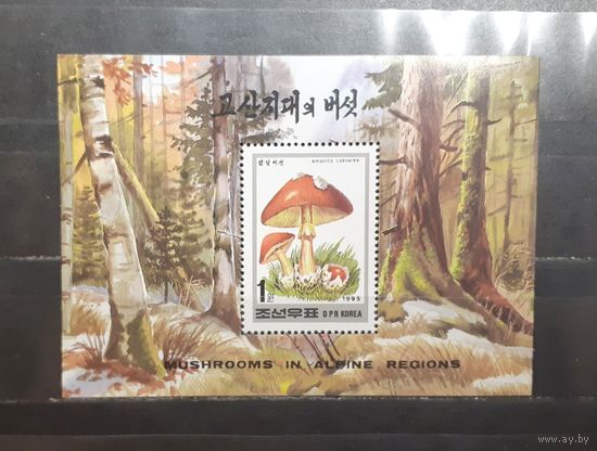 Корея. 1995 год. Флора. Грибы. Блок (1022)