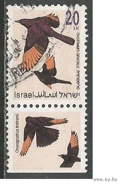 Израиль. Птицы. Краснокрылый скалолаз. 1992г. Mi#1249.
