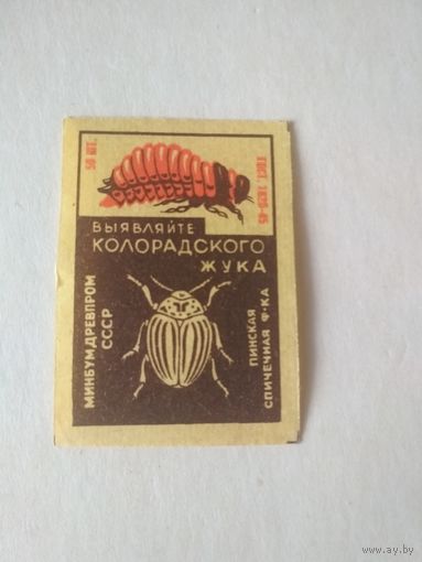 Спичечные этикетки ф.Пинск. Выявляйте колорадского жука