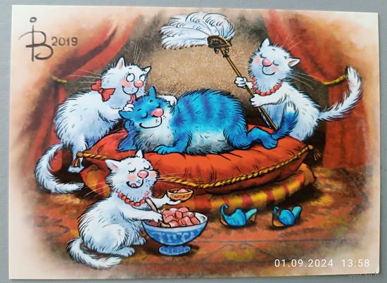 Султан. Синие коты. Ирина Зенюк. Открытка, глянец, 2019
