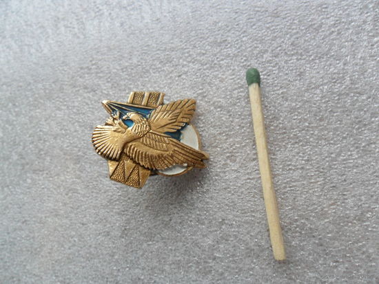 Фрачный знак ВДВ РБ
