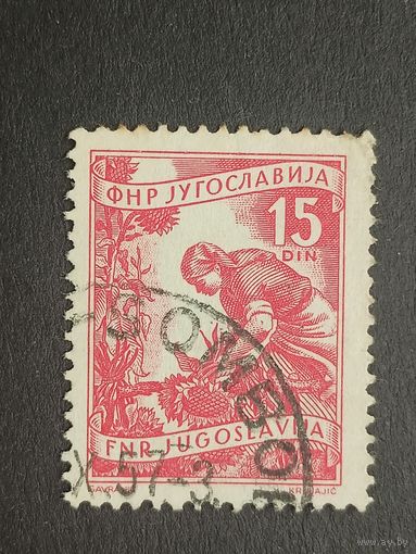 Югославия 1951. Местная экономика