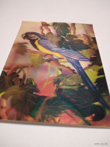 Открытка  1989г. Чистая. Стерео. Художник Л. Гурова.