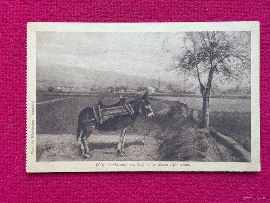 Германия 40-50 гг. Чистая.