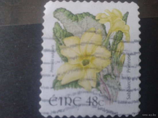 Ирландия 2004 примула