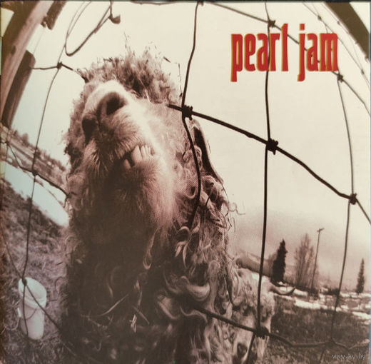 Pearl Jam VS.