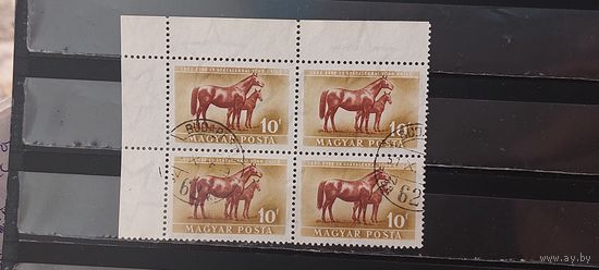 РАСПРОДАЖА ВЕНГРИЯ 1951г. Гаш.