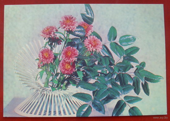 Поздравляю! Подписанная. 1977 года. Круцко. 1563.