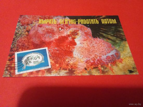 Календарик 2002г.