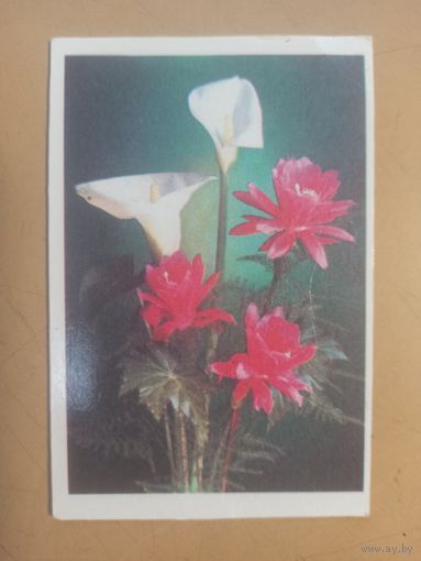 Календарь 1990/1 Цветы